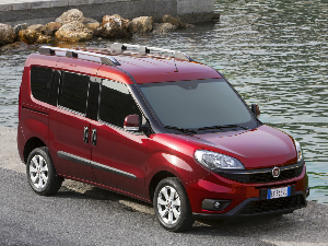 Коврики EVA для Fiat Doblo (минивэн / 263) 2014 - Н.В.